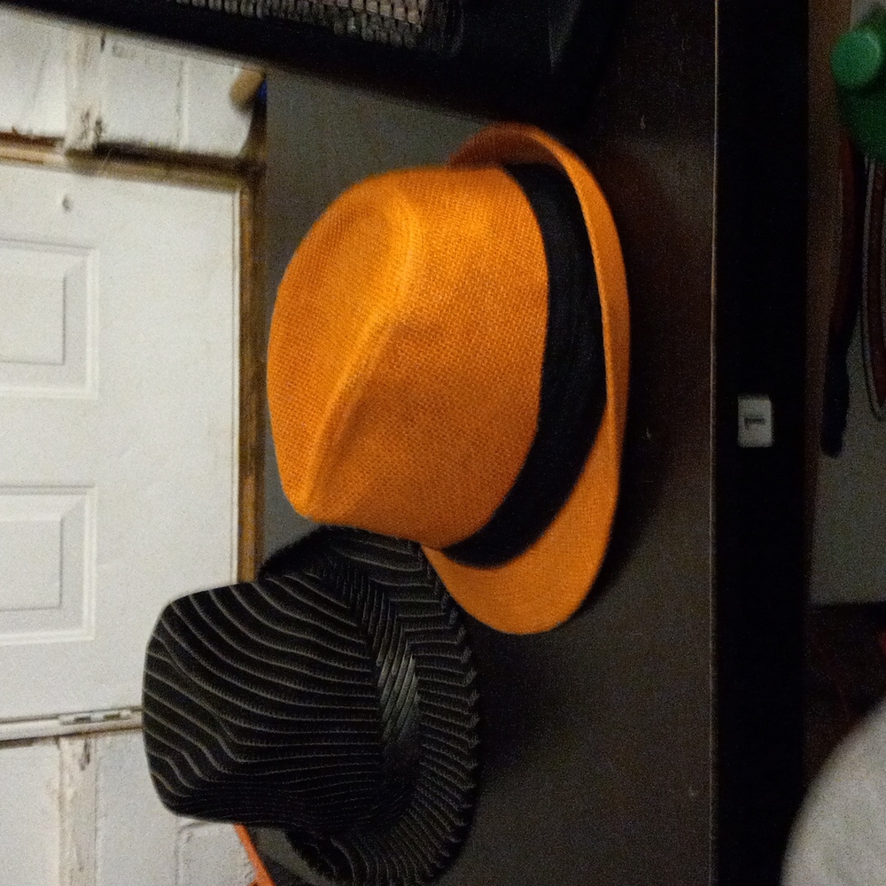 Hats - Picture 2 of 2